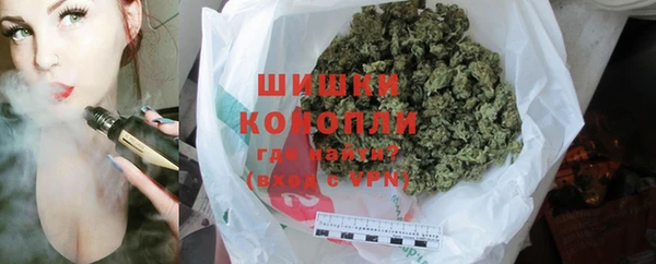 сатива Балахна