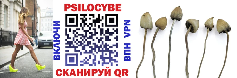 kraken tor хочу Сусуман Галлюциногенные грибы прущие грибы